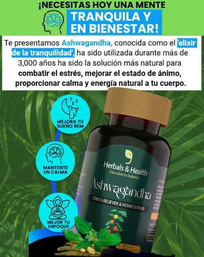 Producto Innovador para el Hogar - Imagen 4
