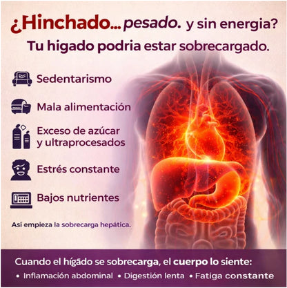 Suplemento Hepático Natural - Apoya la Salud y Digestión - Imagen 9